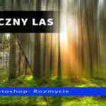 Jak zrobić bajkowy las w Photoshop