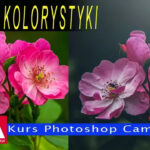 Efekt zmiany kolorystyki fotografii. Dodatkowo użycie Camera Raw