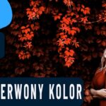 efekt czerwonej kolorystyki na zdjęciu