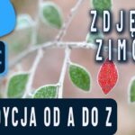 Jak stworzyć oszałamiające zimowe zdjęcie w Lightroom?