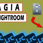 Lightroom Classic: Konwersja presetów na LUT-y – to łatwe!