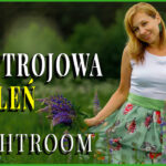 klimatyczna zieleń w Lightroomie